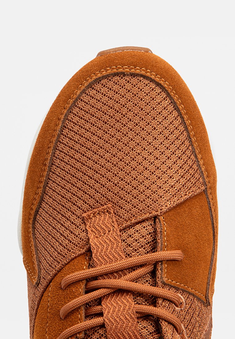 ARKK Copenhagen ASYMTRIX