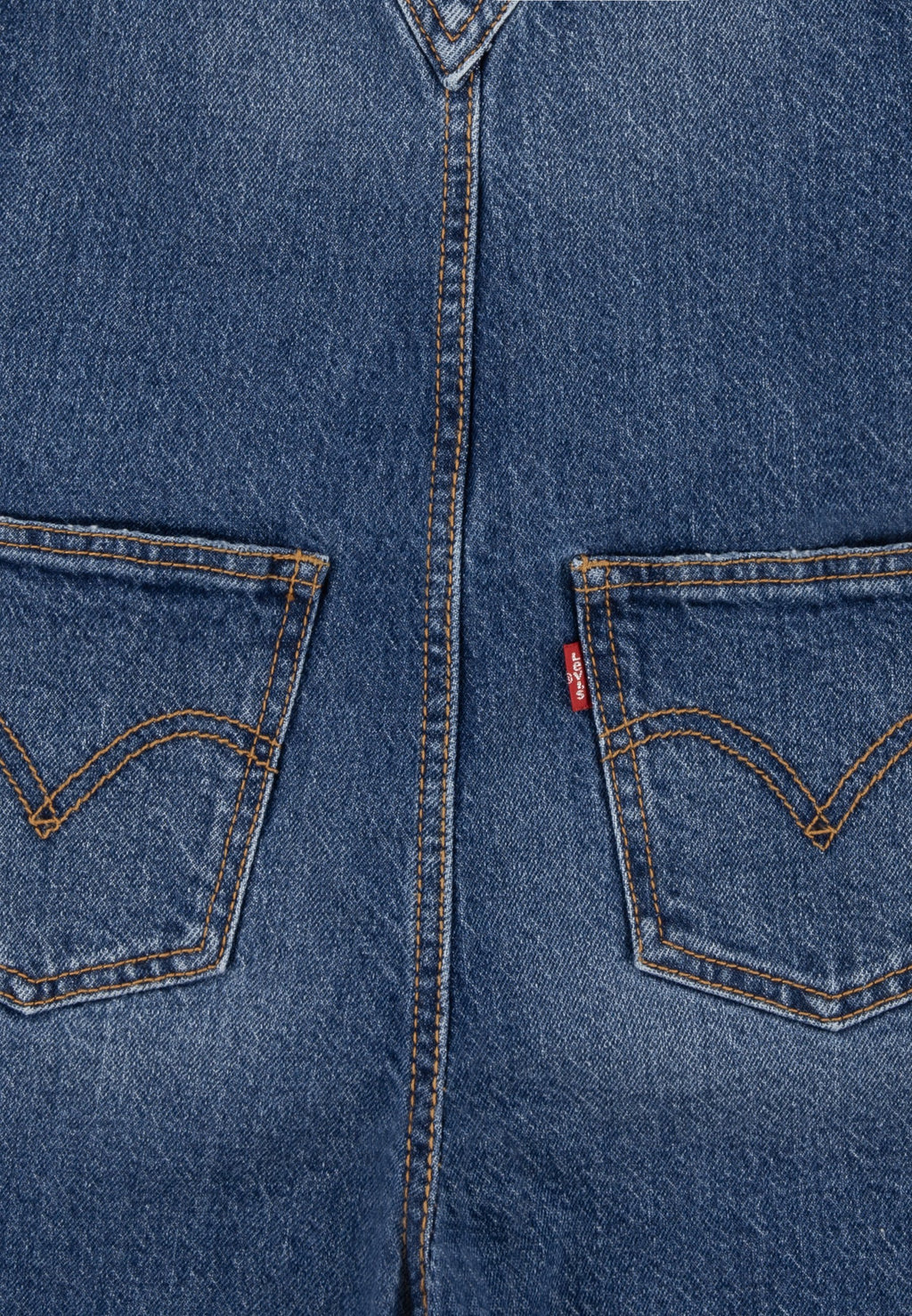 Levi's® LVG BAGGY