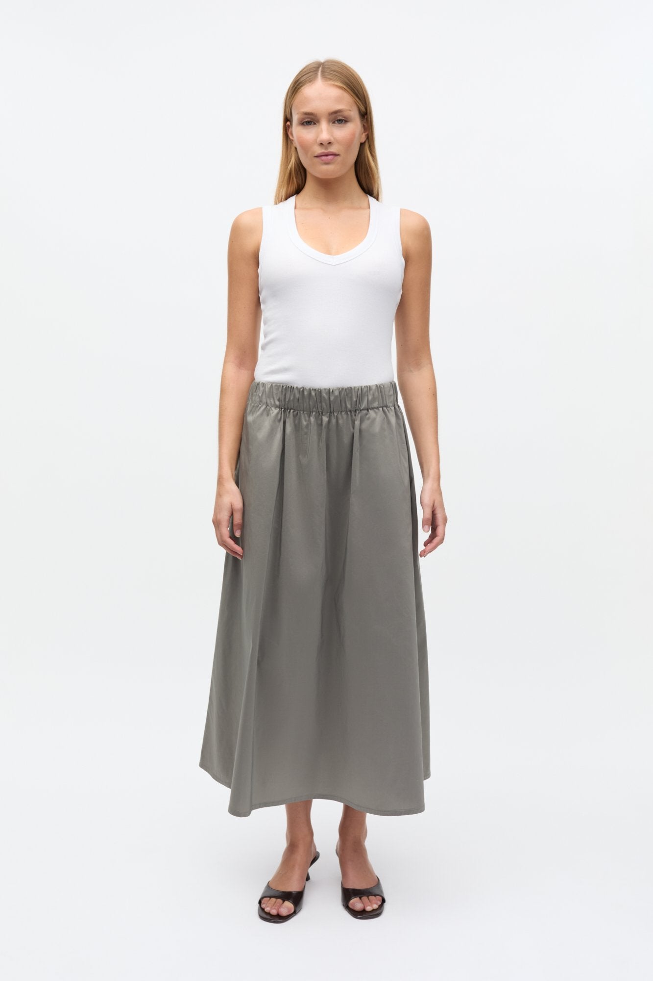 Envii SKIRT