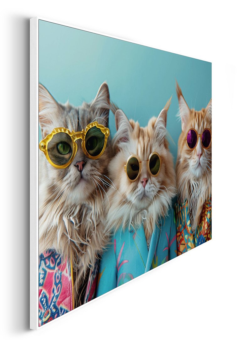 Orange Wallz CAT BAND