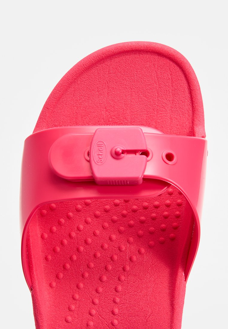 Scholl SUN