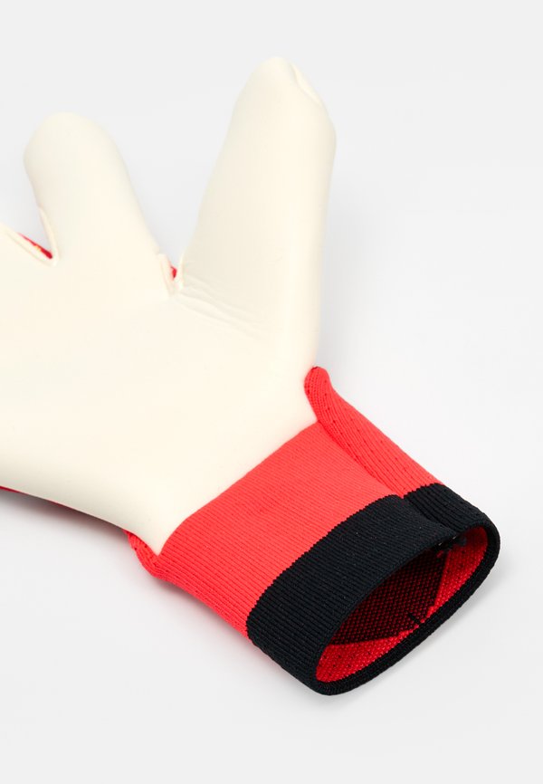 adidas Performance PREDATOR PRO
