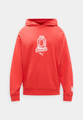 Puma AUSTRIA ÖFB FTBLCULTURE RELAXED HOODIE