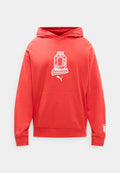 Puma AUSTRIA ÖFB FTBLCULTURE RELAXED HOODIE - National team wear - burnt red/white