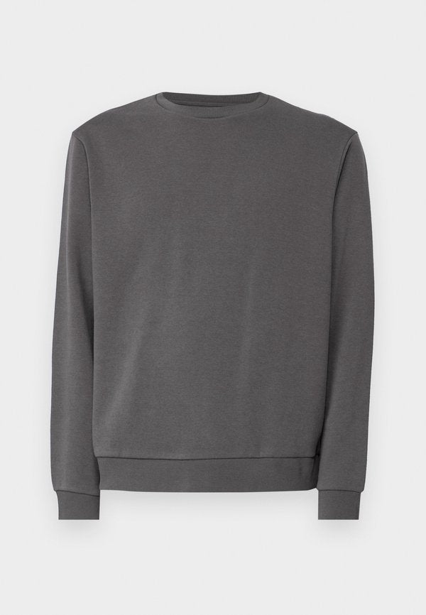 Jack & Jones JJEBRADLEY SWEAT CREW NOOS - Sweatshirt - castlerock