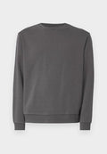 Jack & Jones JJEBRADLEY SWEAT CREW NOOS - Sweatshirt - castlerock