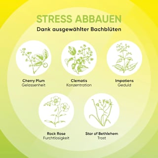 Bachblüten Mentale Balance Tropfen Bach RESCURA