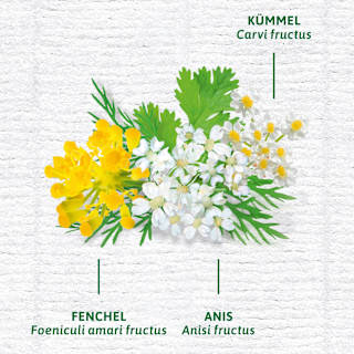 Arzneitee, Bio Magen- & Darm Tee (12 Beutel) Bad Heilbrunner