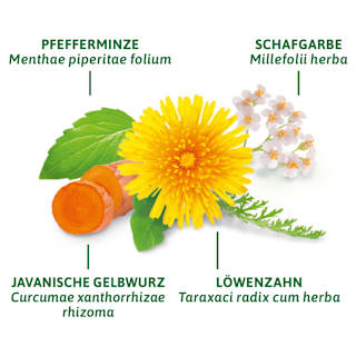 Arzneitee, Leber- & Galle Tee (8 Beutel) Bad Heilbrunner
