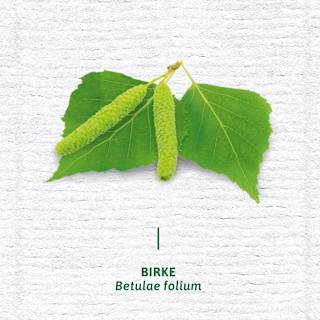 Arzneitee, Nieren- & Blasentee (12 Beutel) Bad Heilbrunner