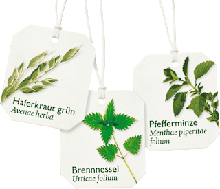 Kräutertee Basisch mit Zink (8 Beutel) Bad Heilbrunner