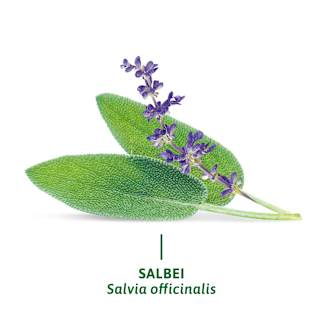 Kräutertee, Salbei (8 Beutel) Bad Heilbrunner
