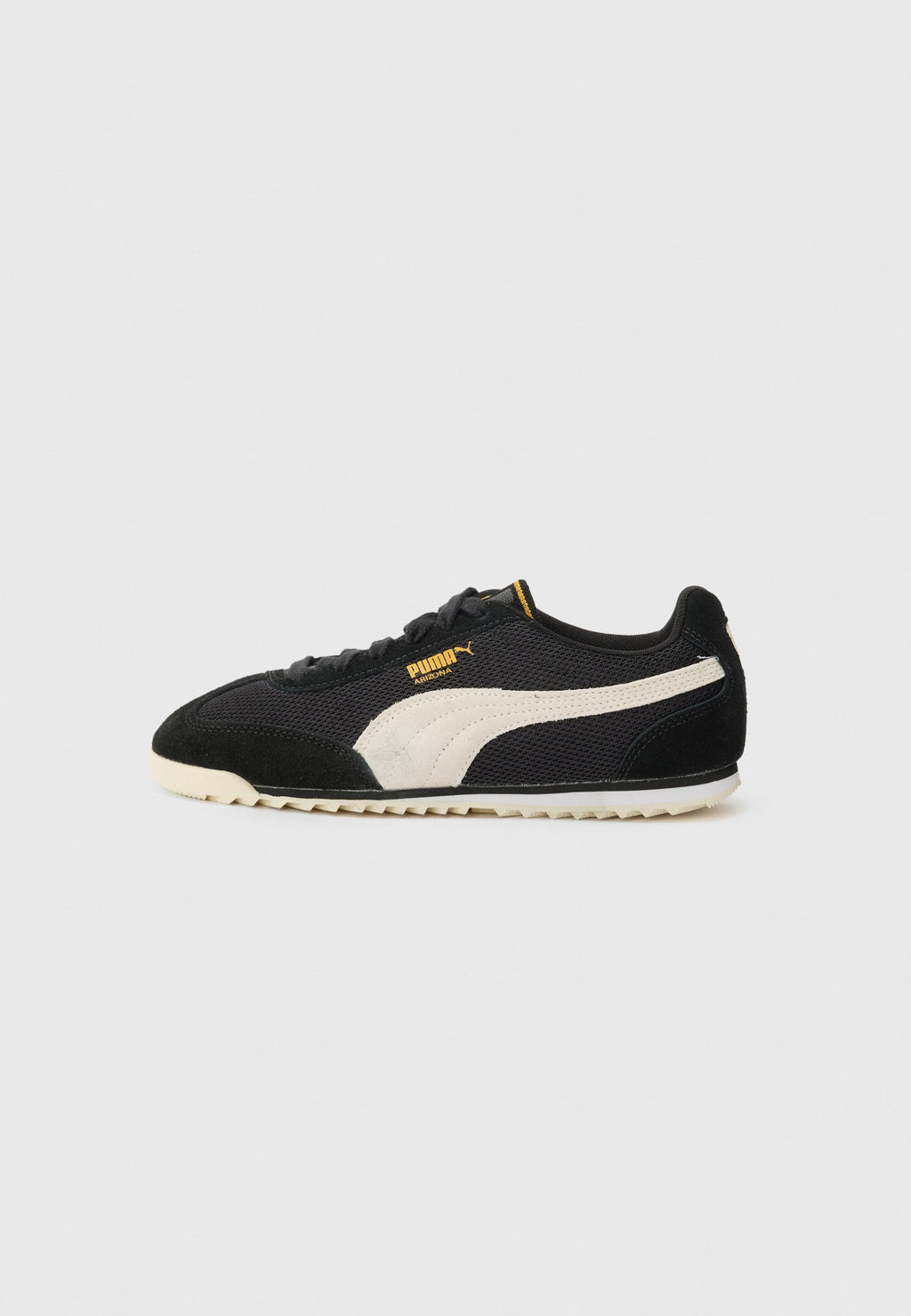 Puma ARIZONA