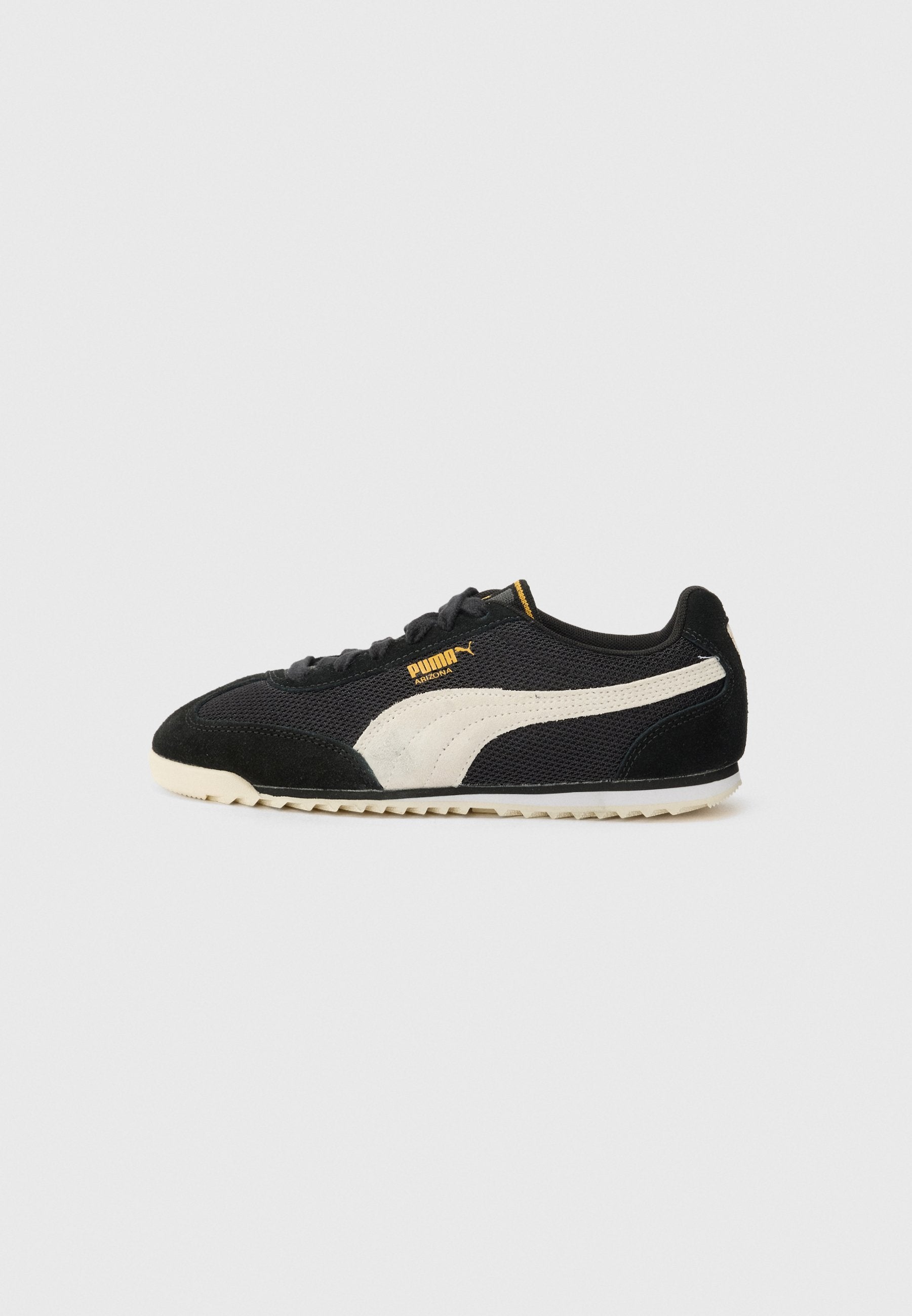 Puma ARIZONA