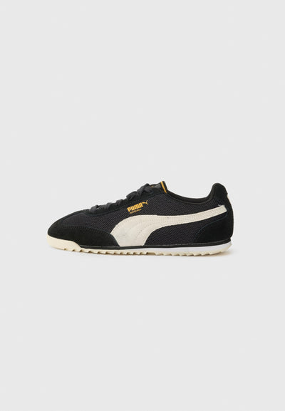 Puma ARIZONA