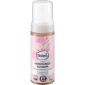Reinigungsschaum Mild Balea