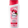 Shampoo Farbglanz Balea