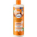 Shampoo Natural Beauty Locken Balea