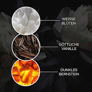 Flüssigseife Twilight Amber Baylis & Harding