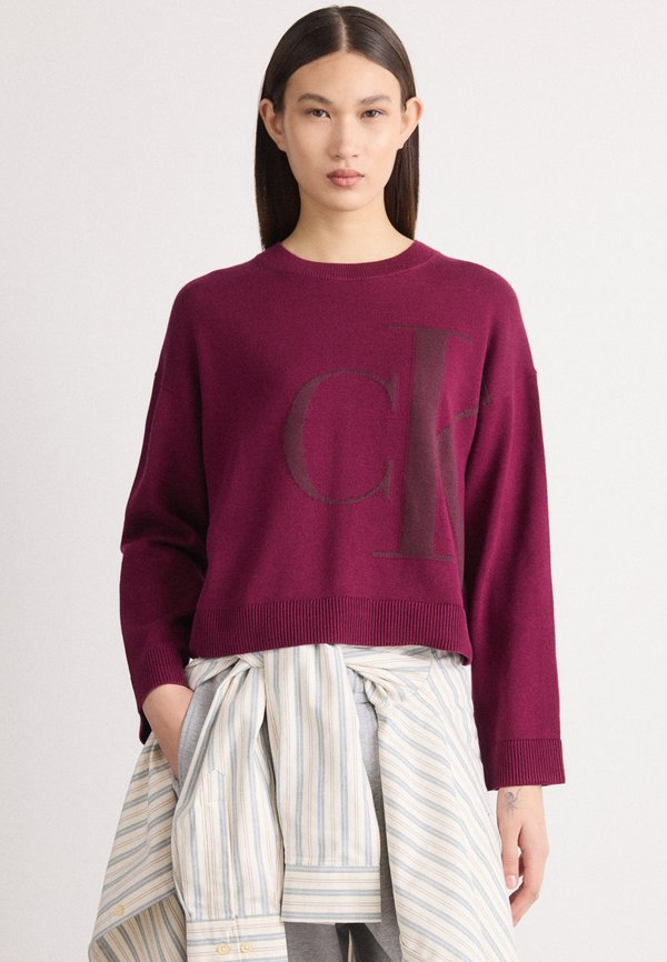Calvin Klein Jeans LONG SLEEVE