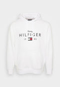 Tommy Hilfiger PLUS LOGO GRAPHIC FLEX FLEECE HOODY - Hoodie - white