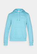 Champion SPORTSWEAR HOODIE STANDARD FIT
