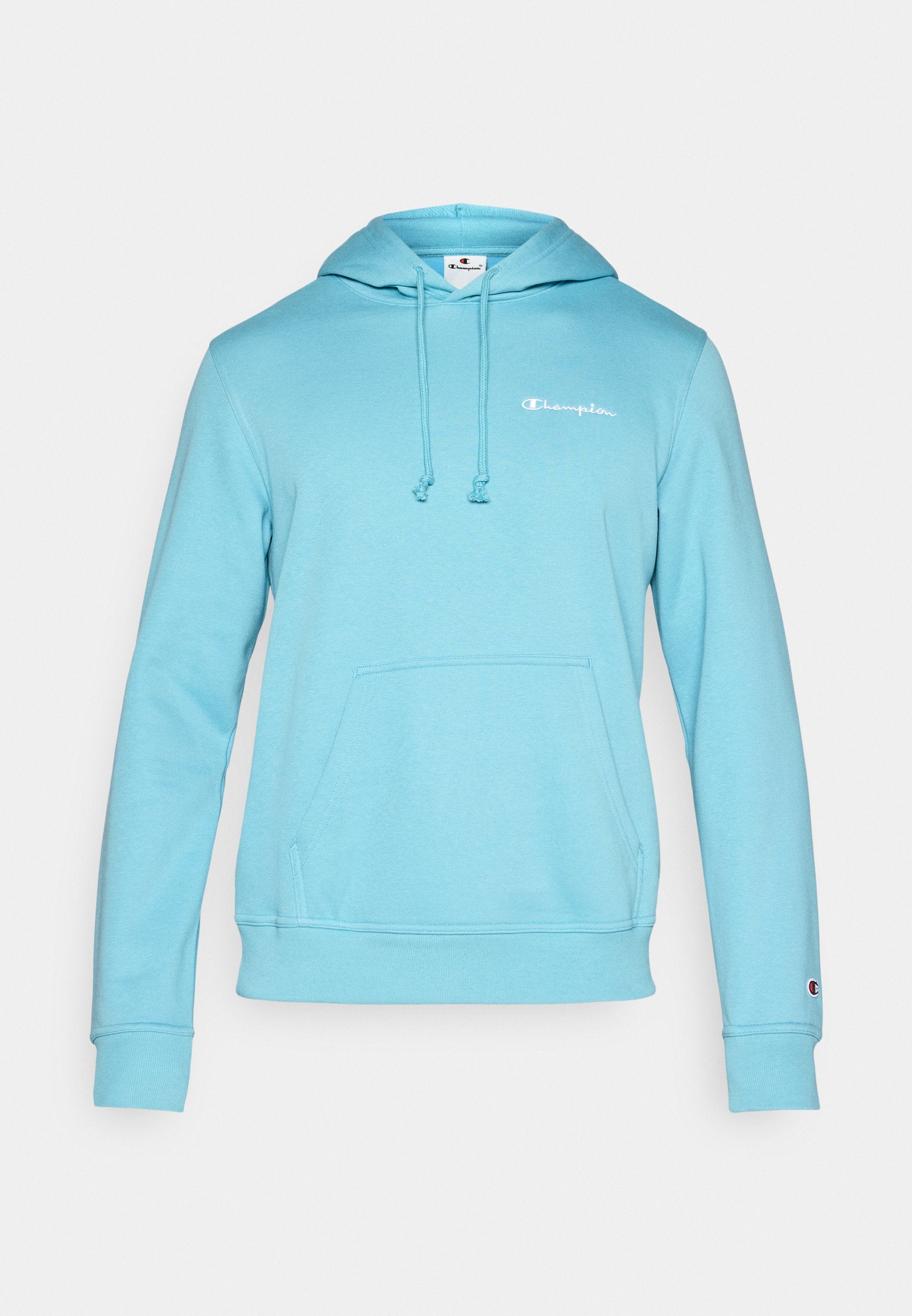 Champion SPORTSWEAR HOODIE STANDARD FIT