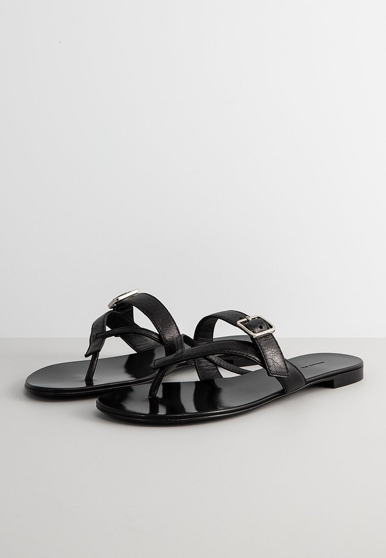 Giuseppe Zanotti