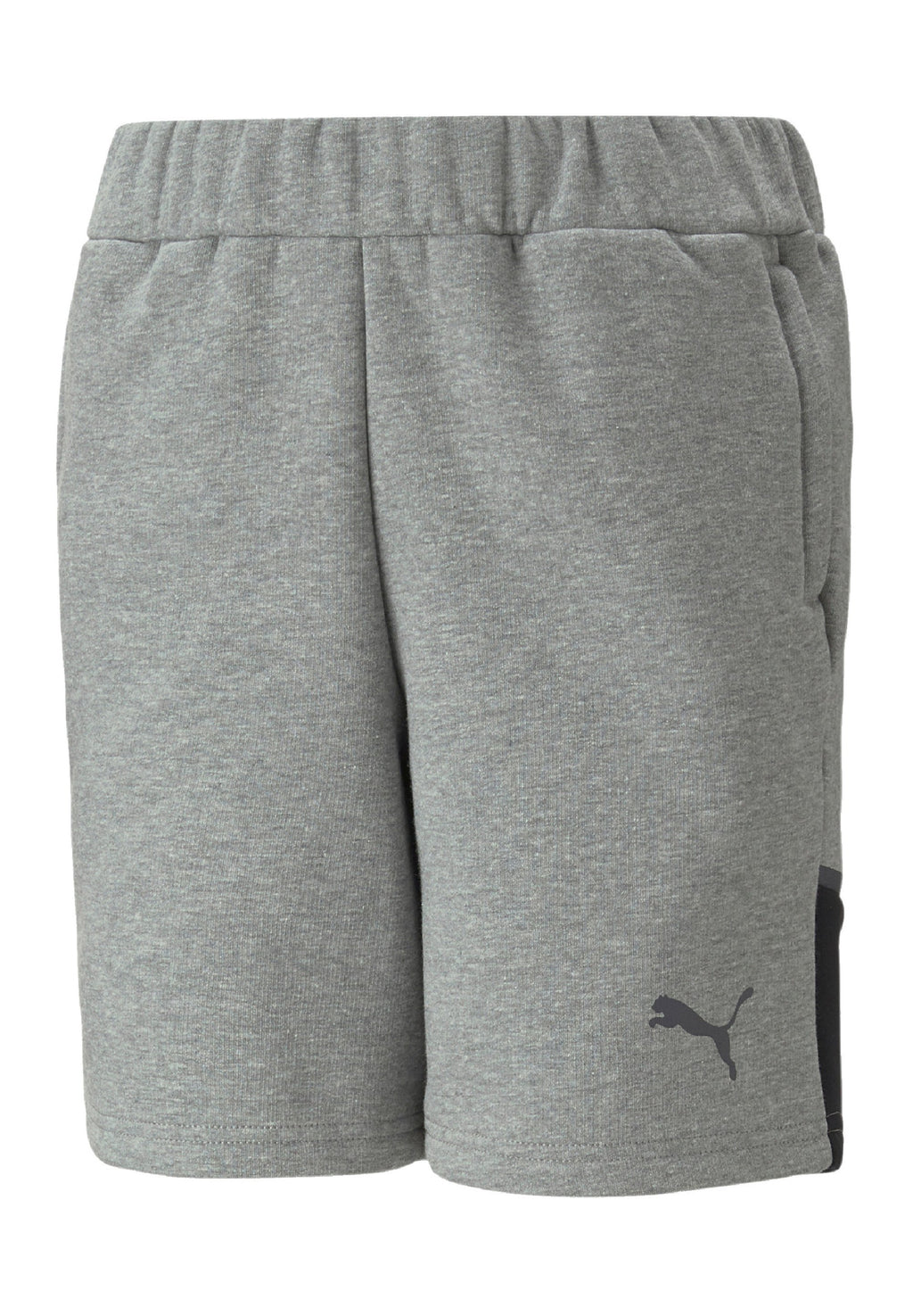 Puma TEAMCUP CASUALS
