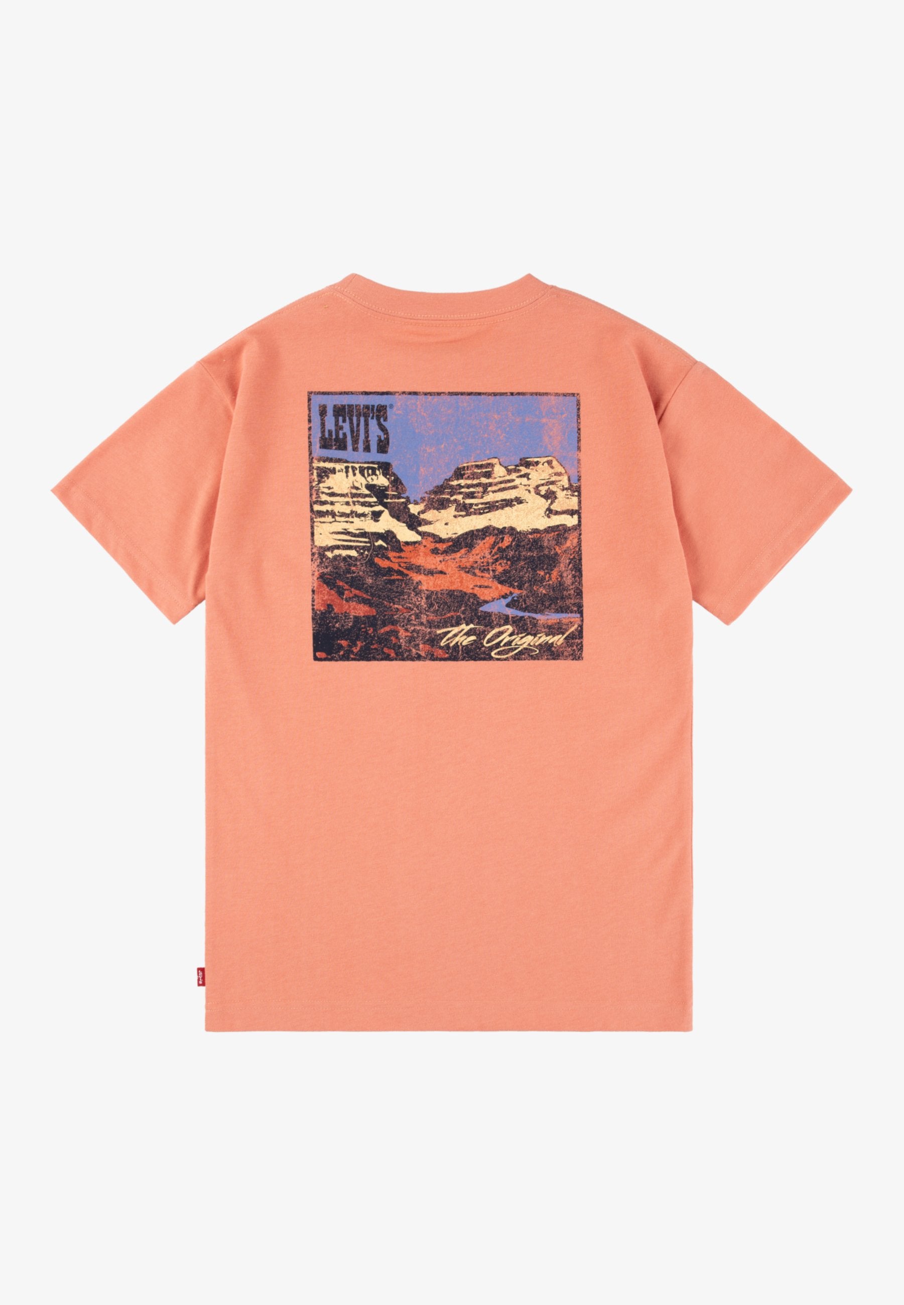 Levi's® CANYON LANDSCAPE TEE
