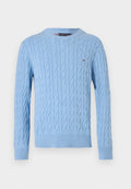 Tommy Hilfiger CLASSIC CABLE CREW NECK  ELEVATED ESSENTIALS