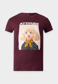 ONLY ONLVIBE GLASSES - Print T-shirt - fig