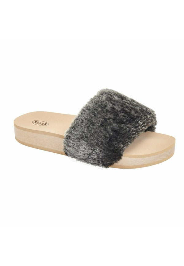 Scholl