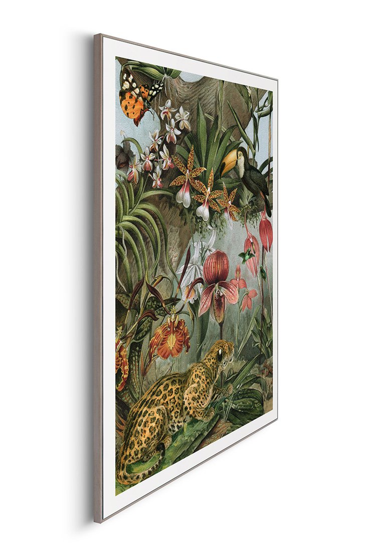 Orange Wallz JUNGLE NATURE
