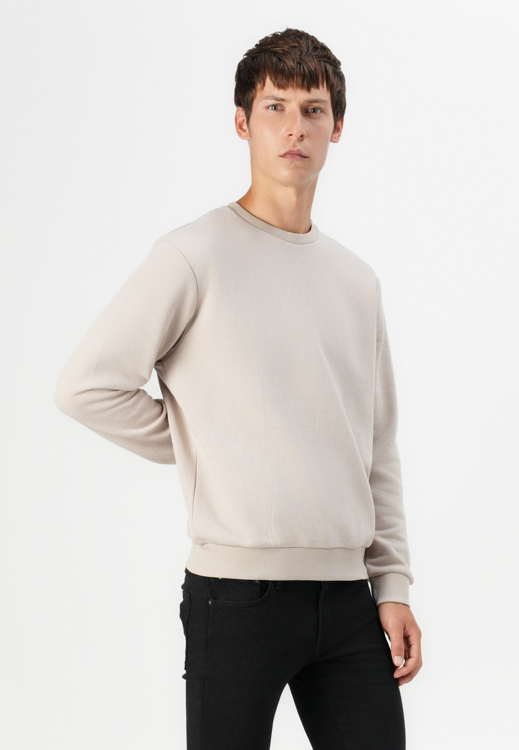 Jack & Jones JJEBRADLEY SWEAT CREW NOOS
