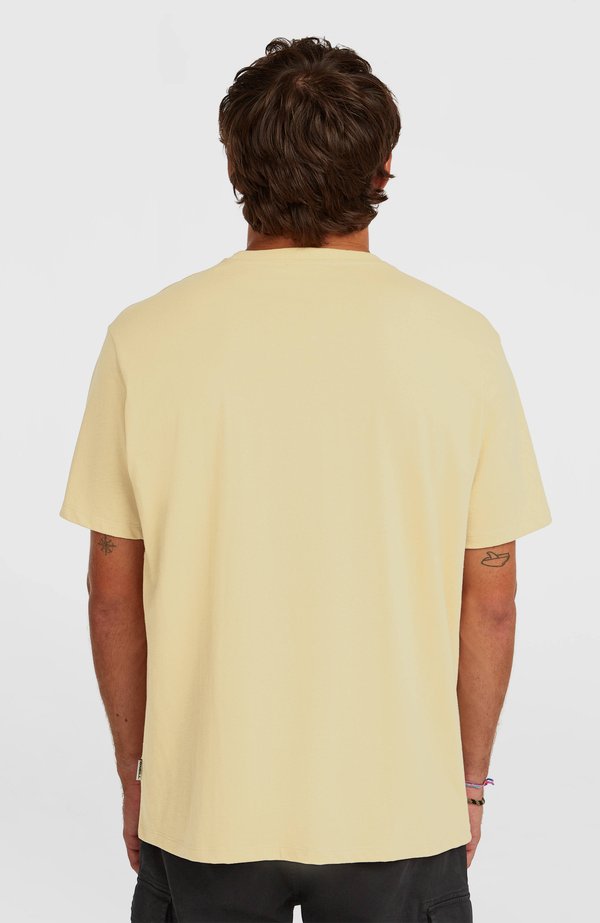 O'Neill CHEST PRINT - TEES SHORTSLEEVE