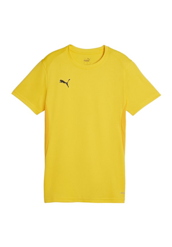 Puma TEAMGOAL
