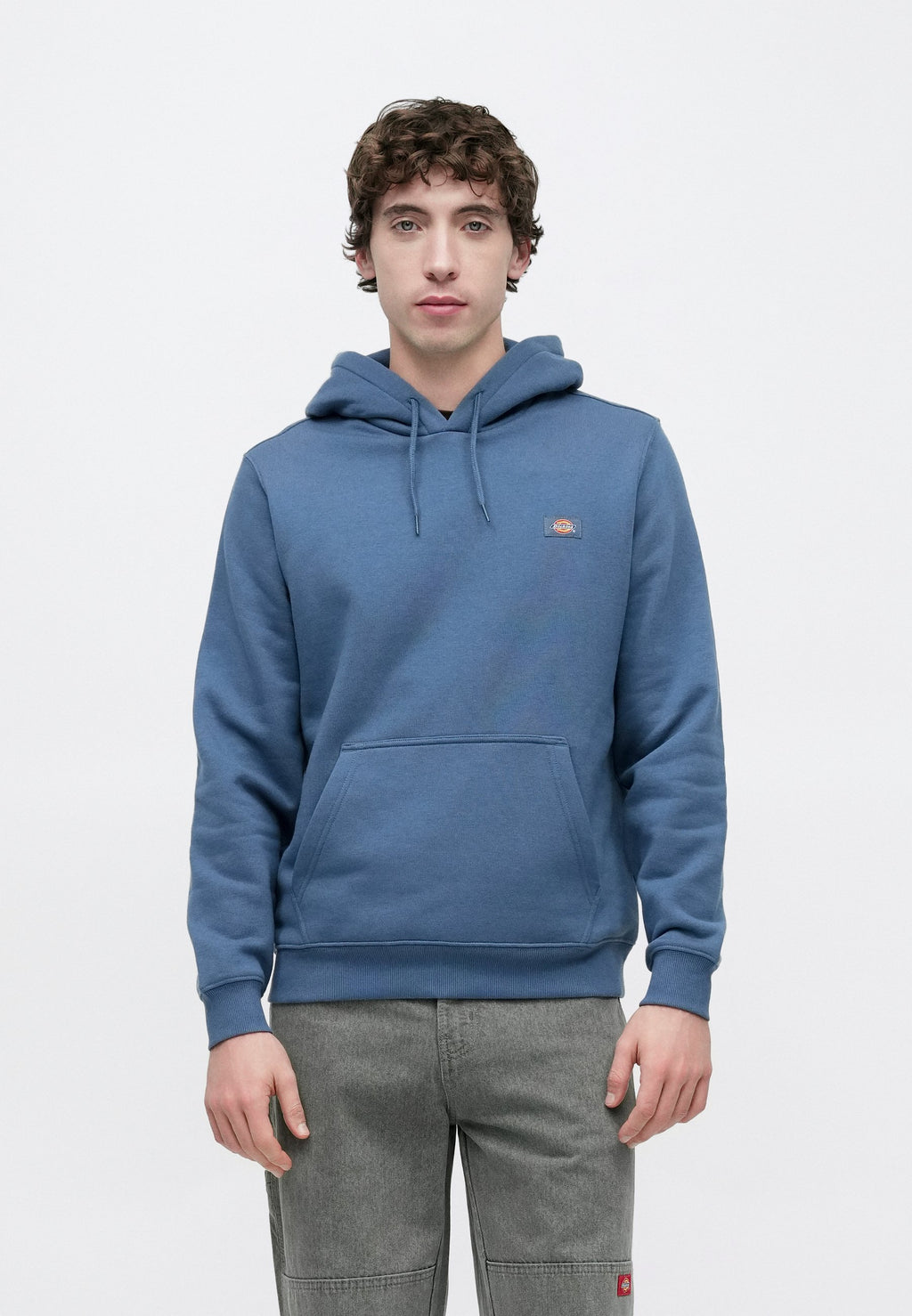 Dickies OAKPORT HOODIE