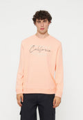 Junger Mann mit lockigem dunklem Haar, der einen hellen pfirsichfarbenen Sweatshirt mit dem Schriftzug „California“ und dunkle Hosen trägt, steht vor einem schlichten weißen Hintergrund.