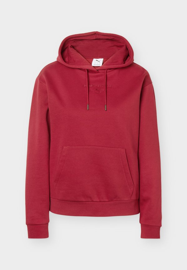 Puma CLASS STANDARD HOODIE - Hoodie - garnet glow