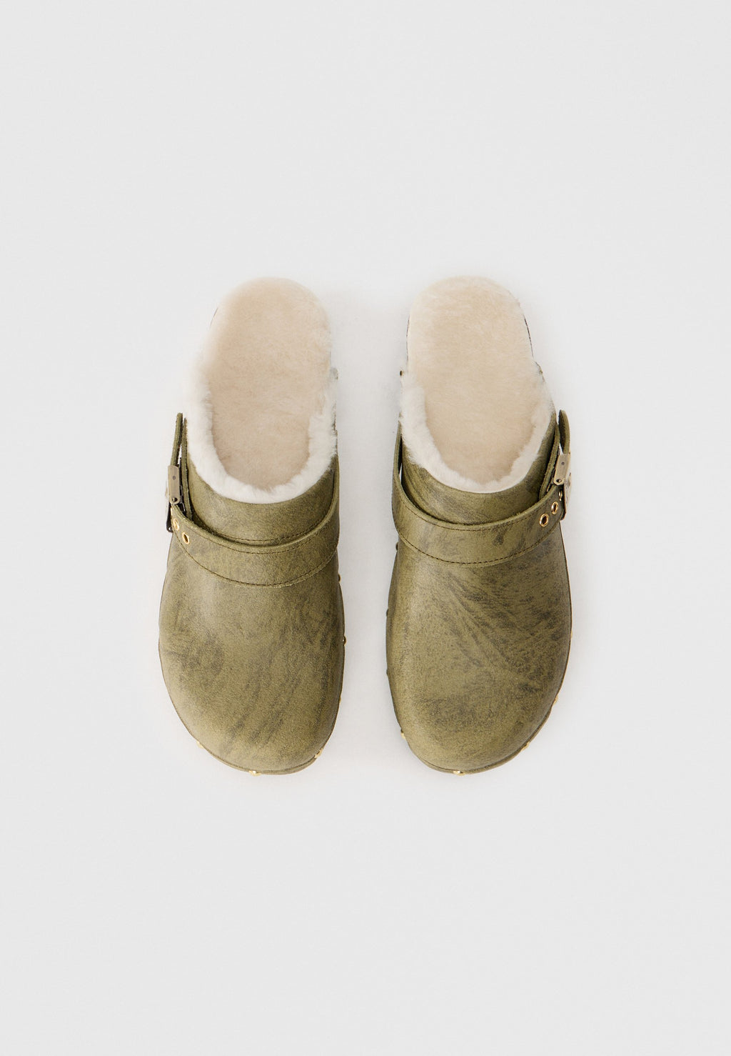 Scholl PESCURA ROBIN
