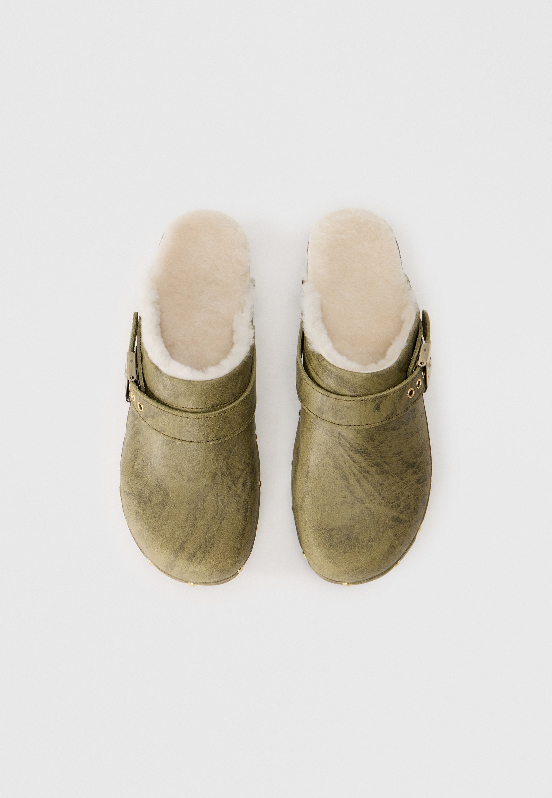 Scholl PESCURA ROBIN