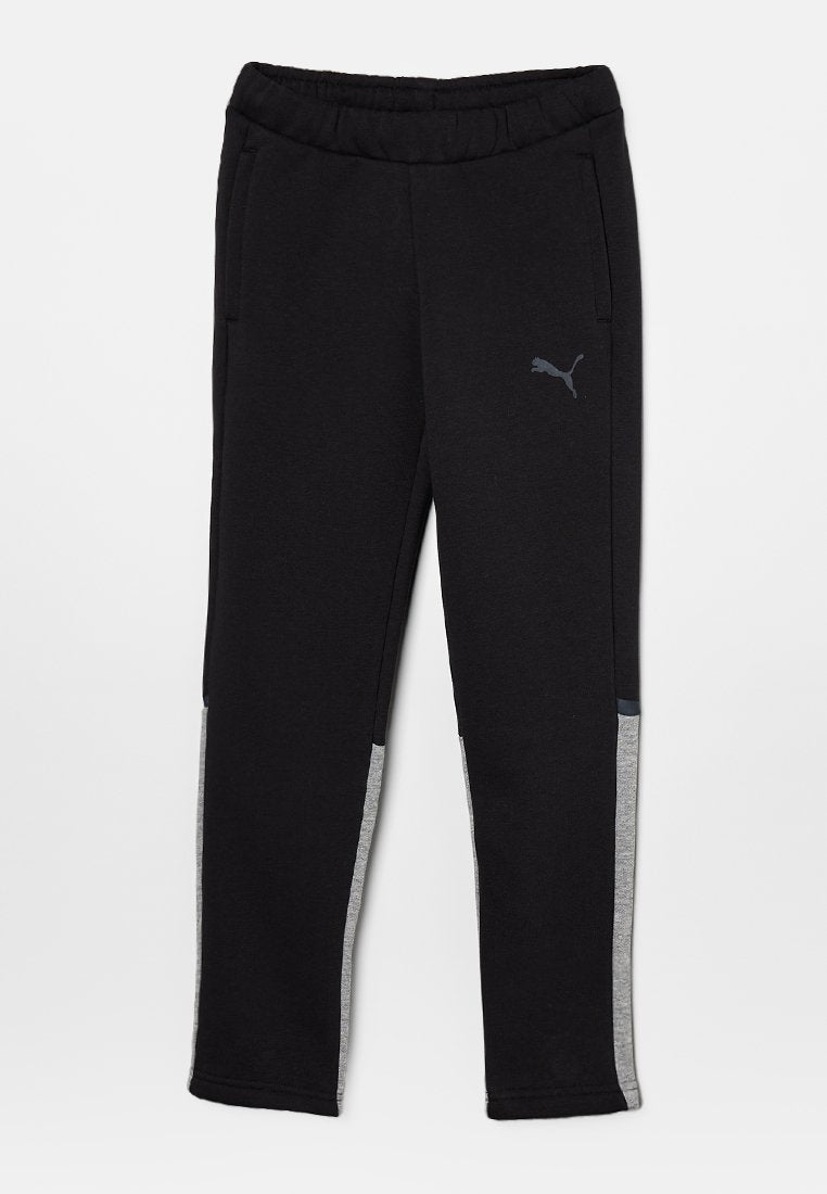 Puma TEAMCUP