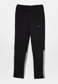 Puma TEAMCUP