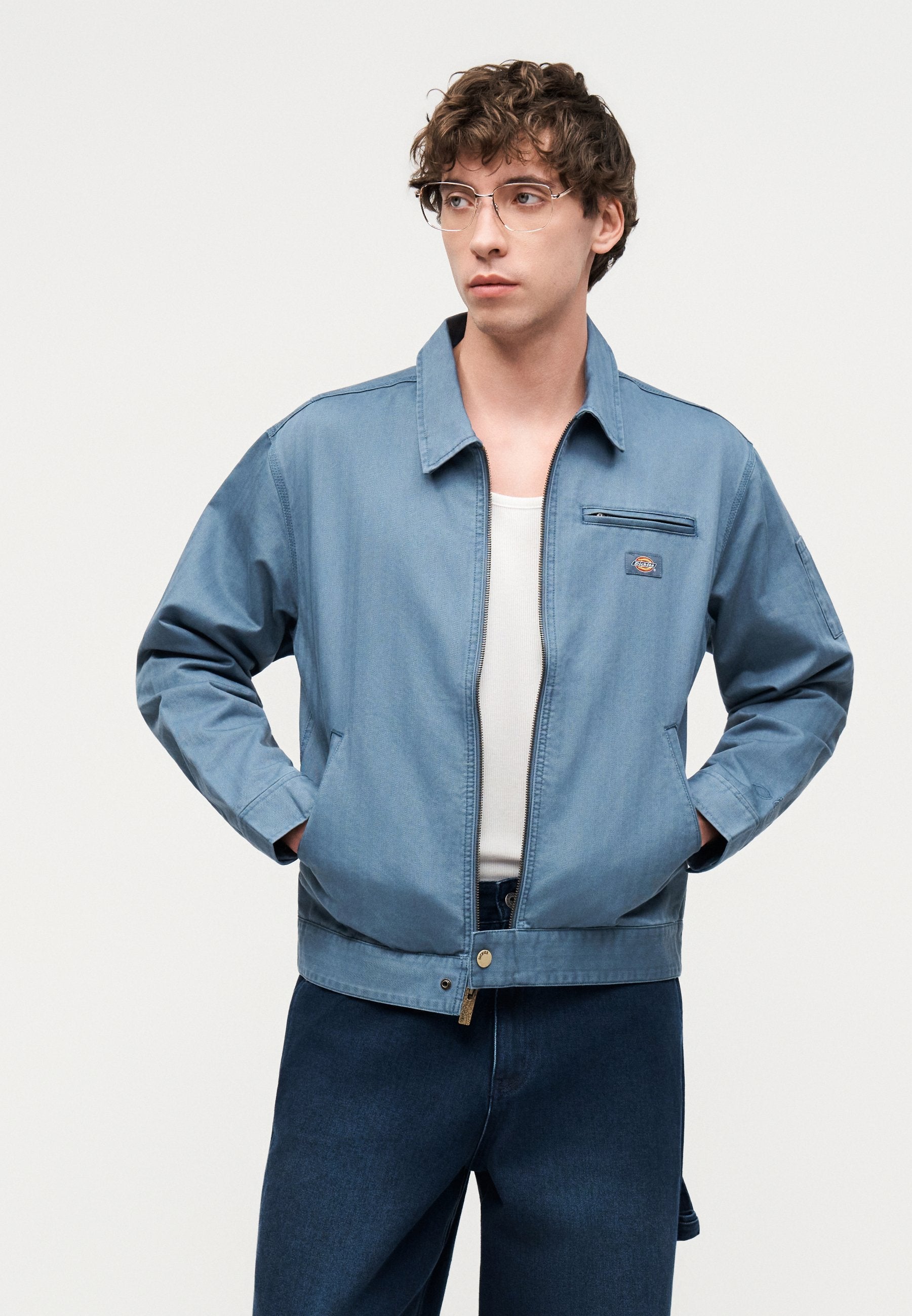 Dickies CARPENTER WORK JEANS