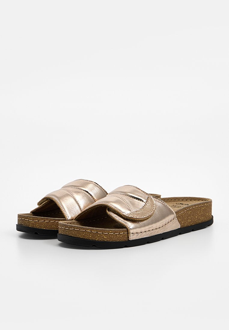 Scholl SAMOA
