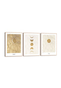 Orange Wallz SOLAR 3 PACK