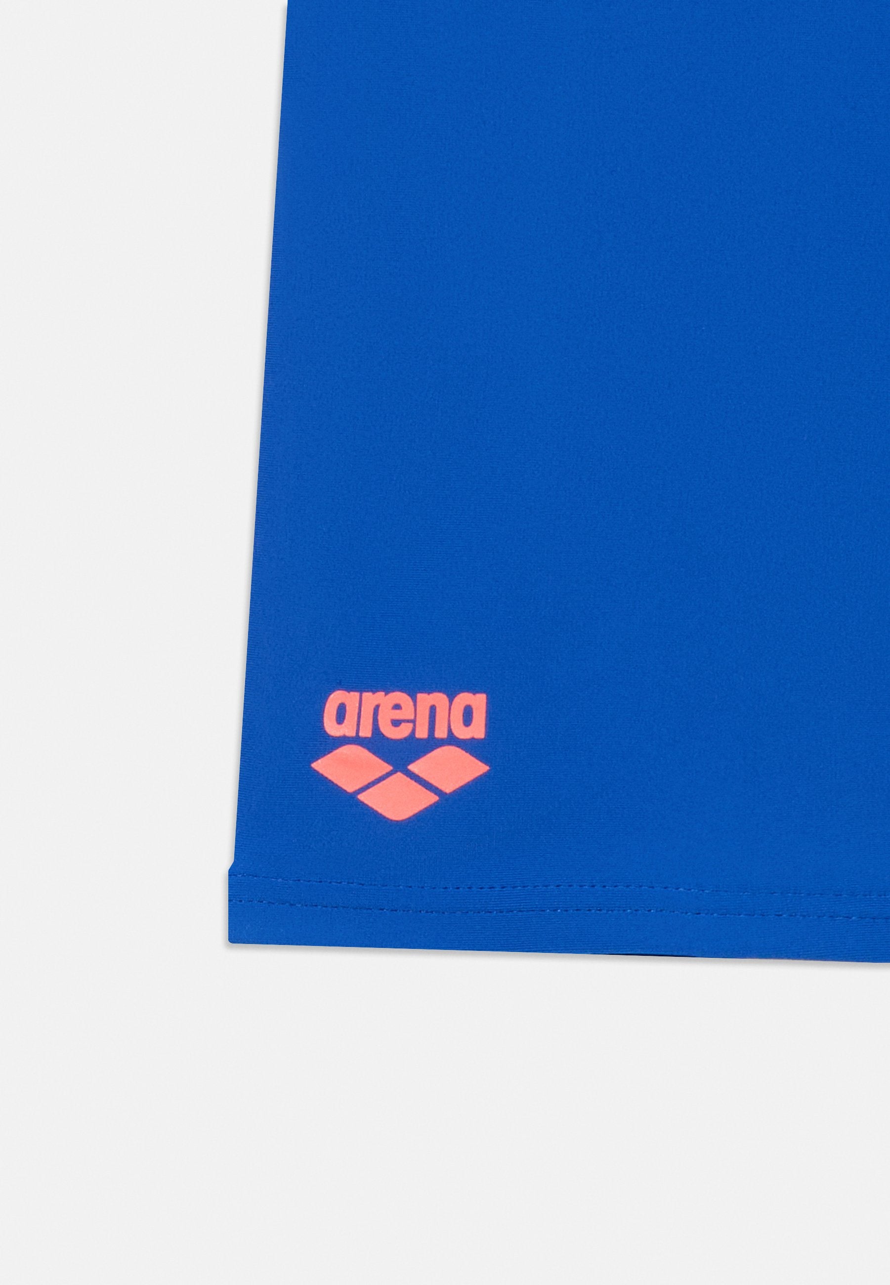 Arena