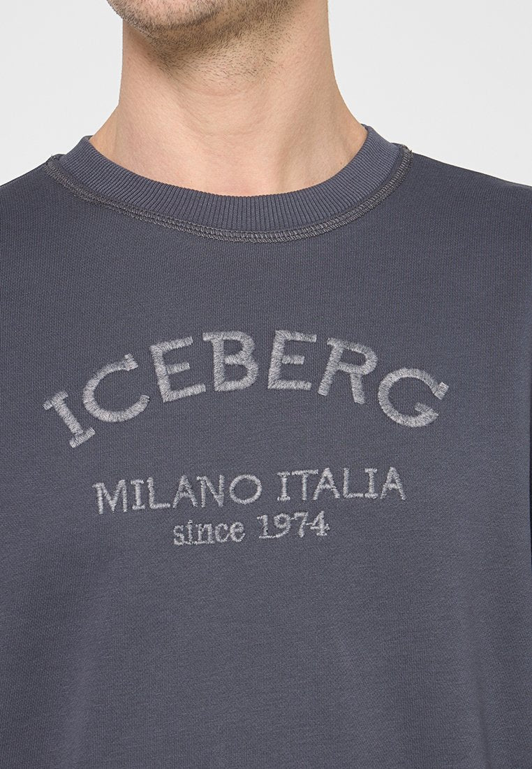 Iceberg