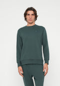 Dunkelgrüner Pullover aus Baumwollmischung, mit Rundhalsausschnitt, langen Ärmeln, gerippten Bündchen und kleinem Logo auf der Brust.
